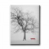 Kış Canvas Tablo Kış Canvas Tablo