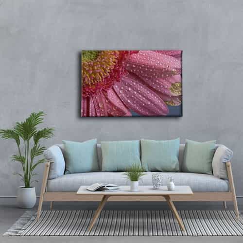 Yağmur Damlalı Çiçek Tablo Yağmur Damlalı Çiçek Tablo