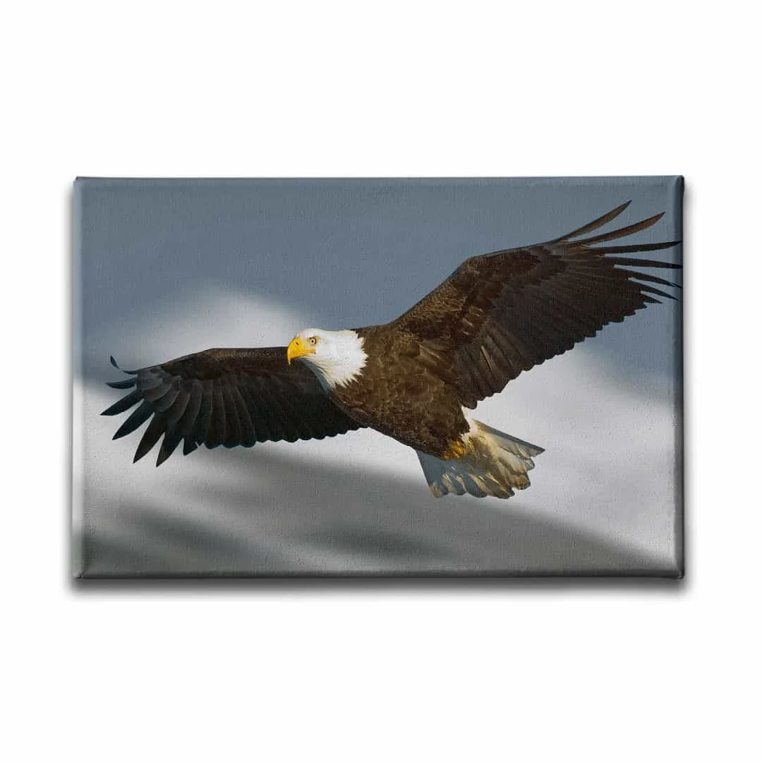 Tavus Kusu Kanvas Tablo
