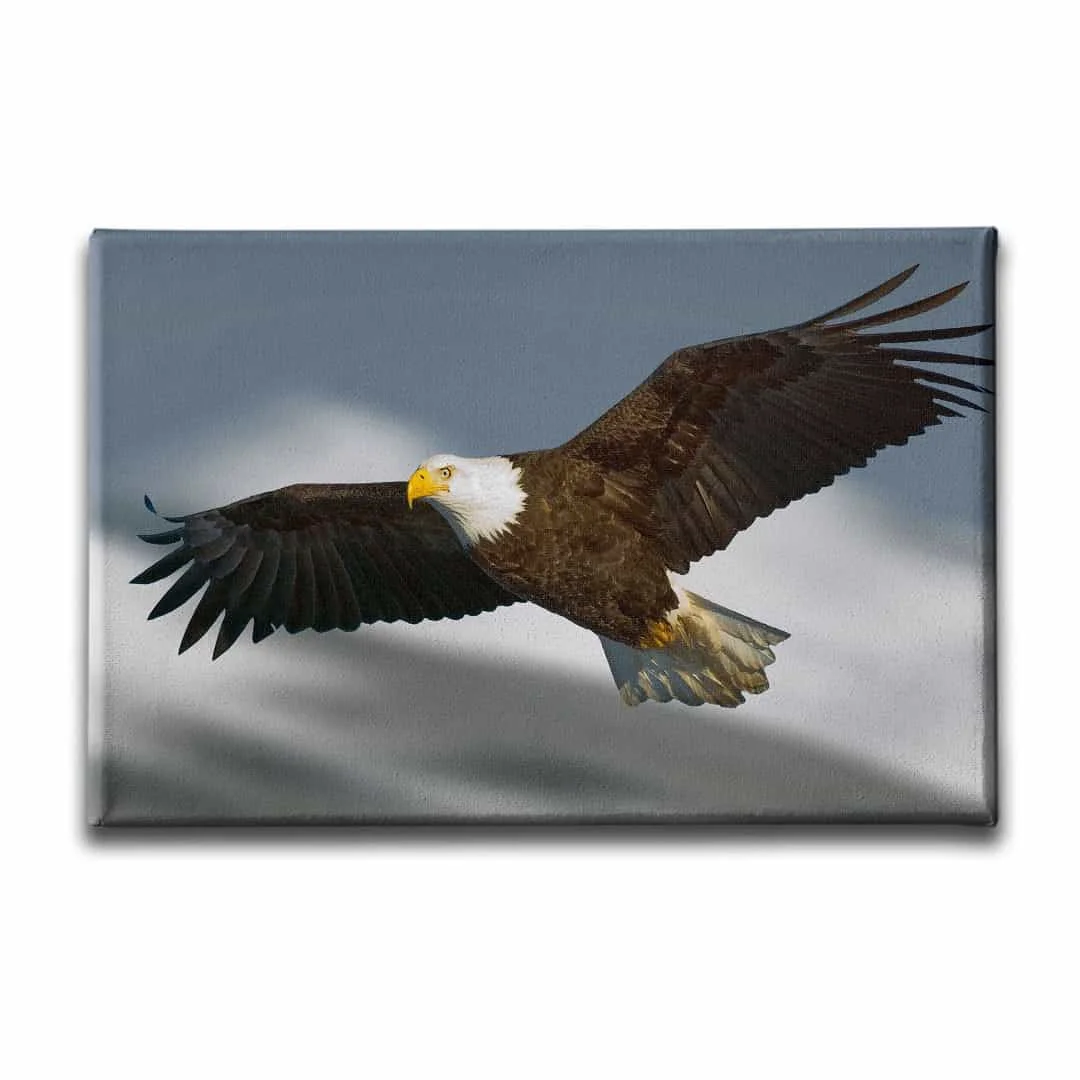 Kartal Kanvas Tablo