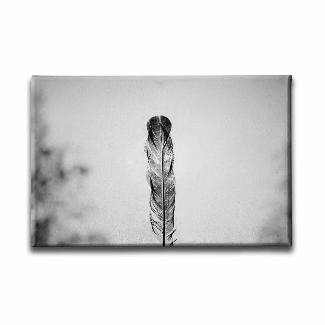 Siyah  Beyaz  Canvas Tablo