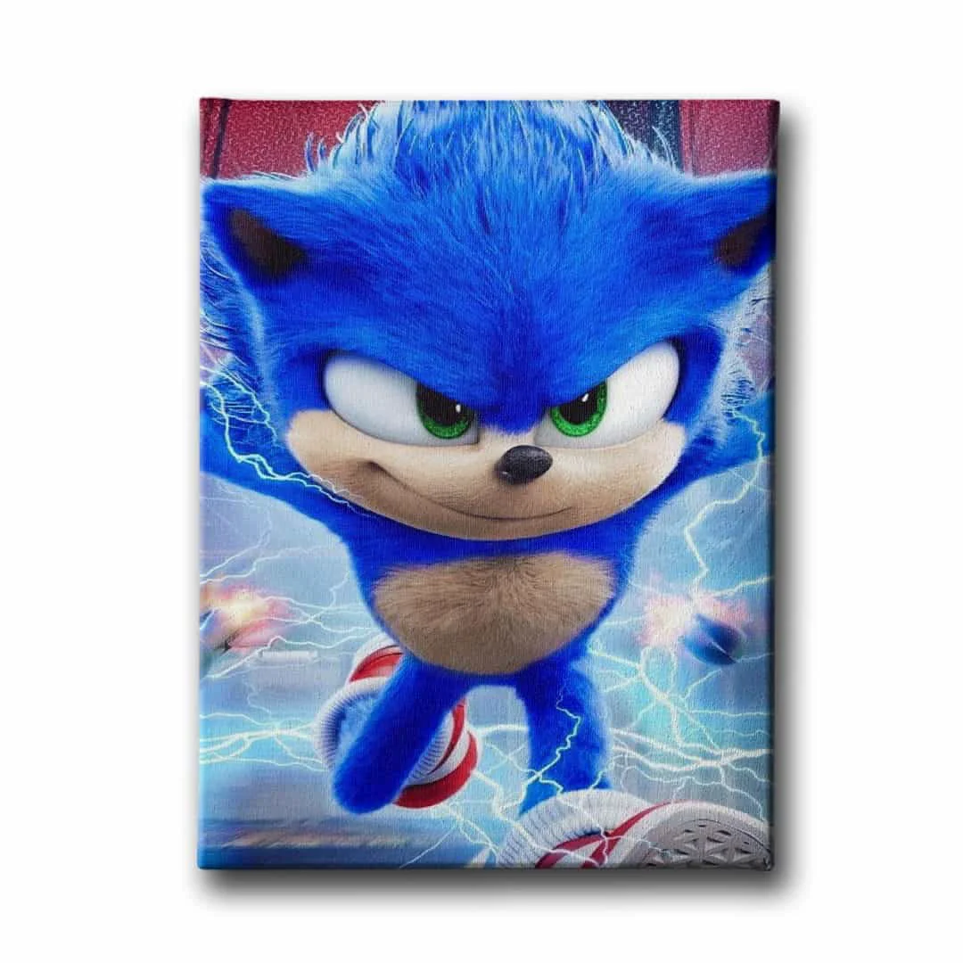 Sonic Boom Cocuk Kanvas Tablo