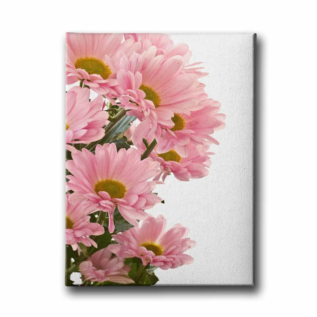 Pembe Papatyali Tablo
